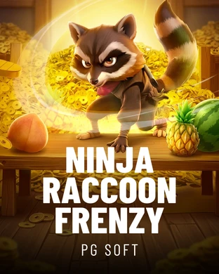 Ninja Raccoon Frenzy