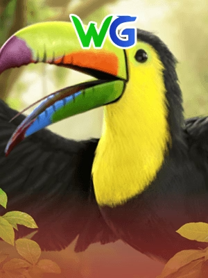 Fortune Toucan